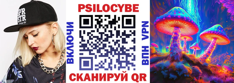 дарк нет формула  Чапаевск  Галлюциногенные грибы Psilocybine cubensis 